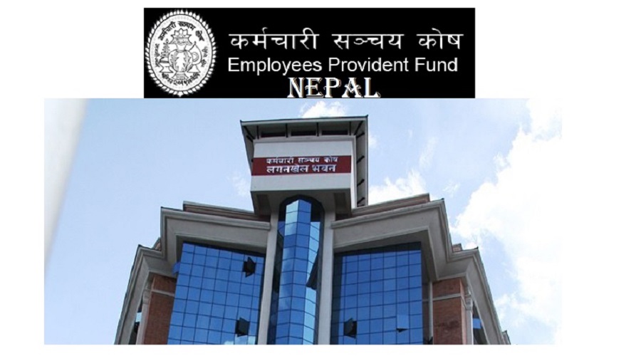 Payments from provident fund made fully digital