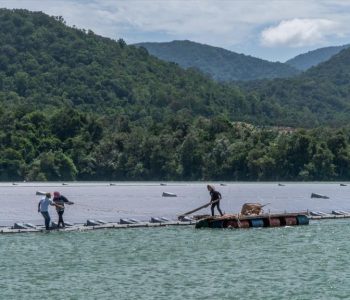 ADB, partners signal commitment to climate change action at COP29 event for IF-CAP