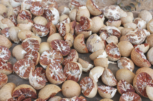 Betel Nut import quota opened after four months of persistent lobbying